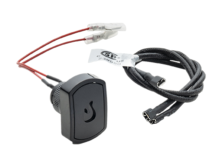 Ignition switch with electrode wires