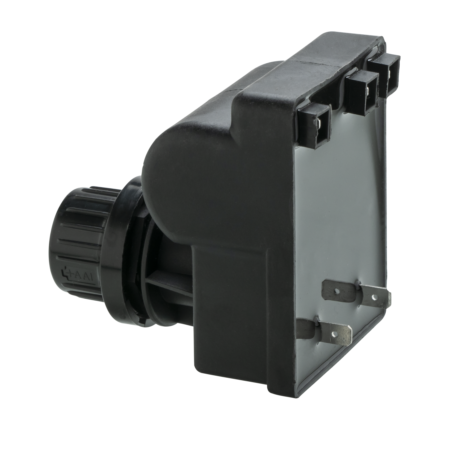 Electronic ignition module