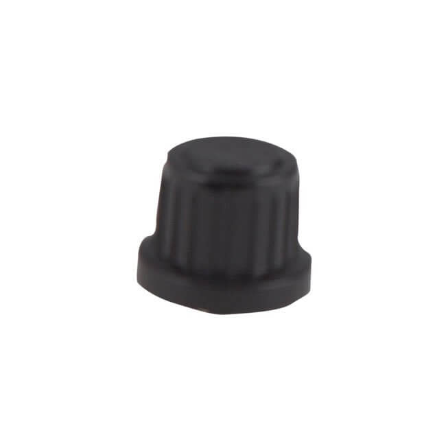 Cap for electronic ignition module